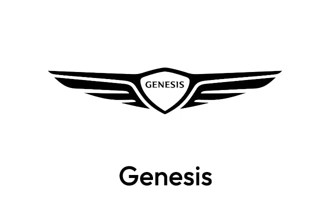 OEM Dash Cam for Genesis