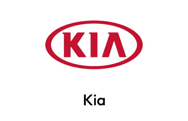 OEM Dash Cam for Kia