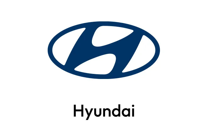 Hyundai OEM Dash Cam